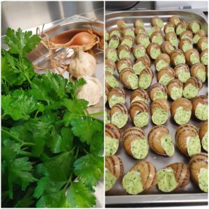 12 Coquilles à la bourguignonne